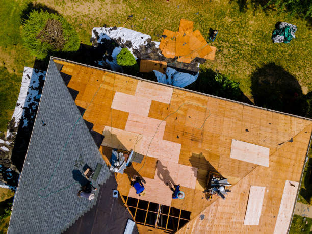 Best Roof Restoration Services  in Sparta, IL
