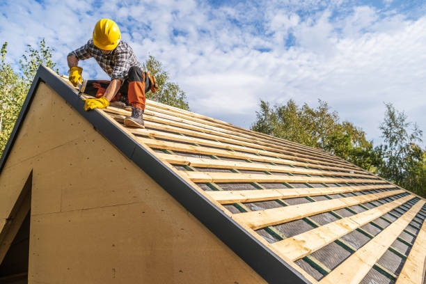 Best Metal Roofing Contractor  in Sparta, IL