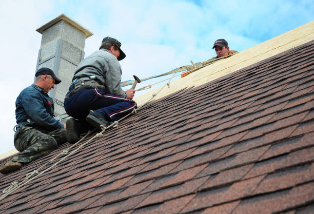 Best Flat Roof Repair Services  in Sparta, IL